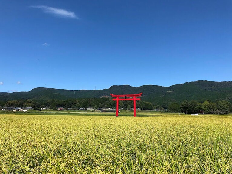 【宮崎県】菅原神社の鳥居。