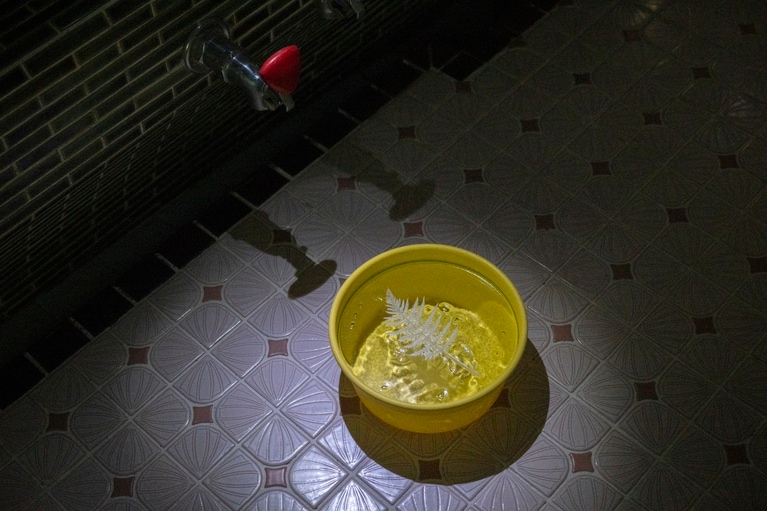 男湯からにじり口のような通路を通って女湯へ巡る展示空間の構造も面白い。それぞれの空間で作品の構成がかなり違うので、目が慣れてから男湯に戻ってみるのも面白い。