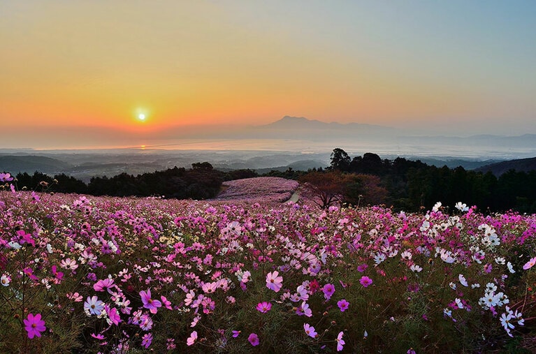 白木峰高原。