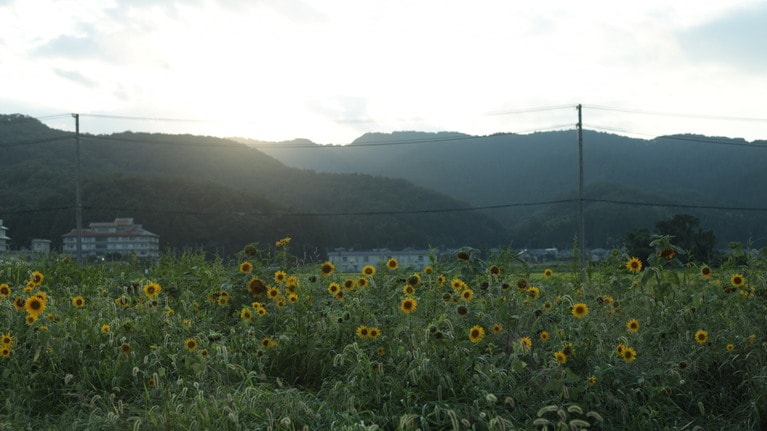 「私たちの新潟旅行」　大原えみ 「柔らかく照らす」 柔かく優しく彼の命を照らしていた。