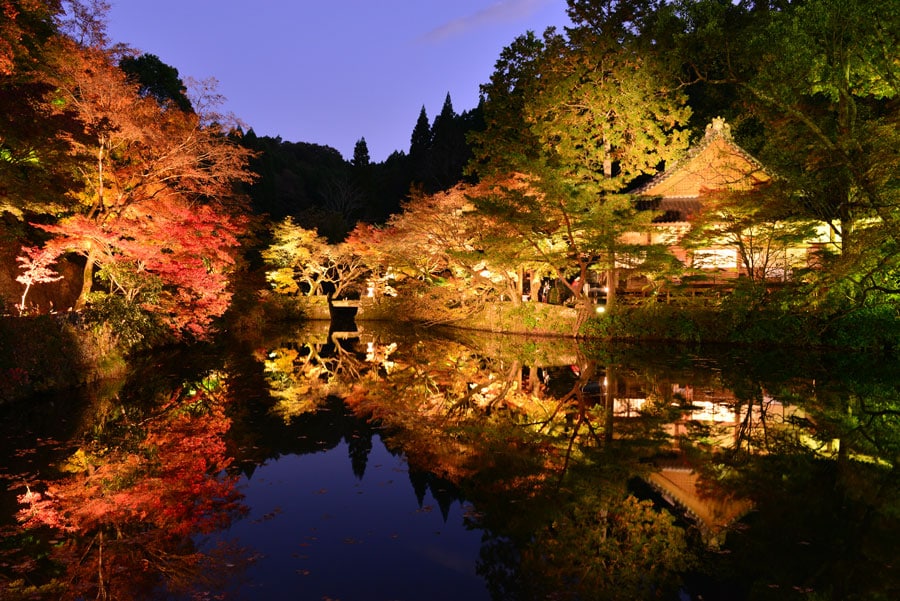 47都道府県の「秋の絶景・風物詩」を再発見！