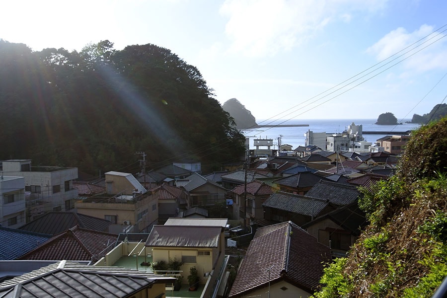 田子の集落。海と山の合間に家が密集しています。