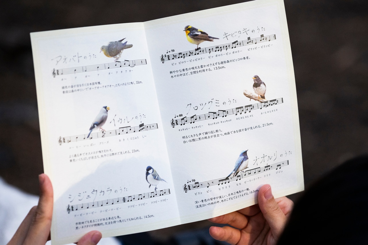 野鳥の声を解説する小冊子。思わずクスリとなってしまう鳴き声の鳥も。