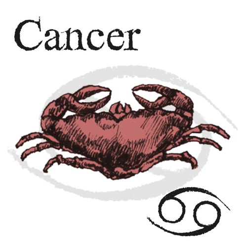 岡本翔子の星占い 【蟹座】3月の運勢「砂漠が美しいのは」