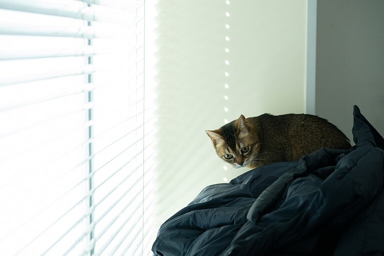 この日は先客がいたよう……。