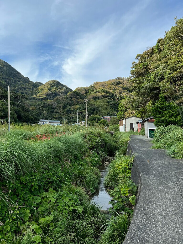 のどかさ全開の吉田集落。南伊豆歩道のウォーキングコースにもなっています。