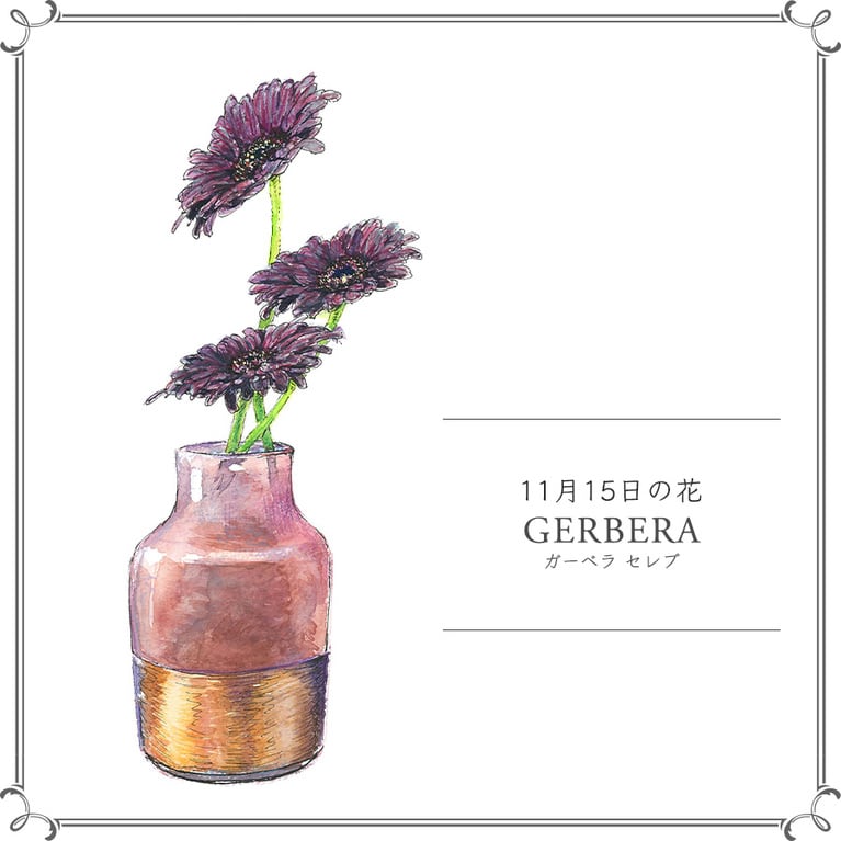 11月15日の花「ガーベラ セレブ」