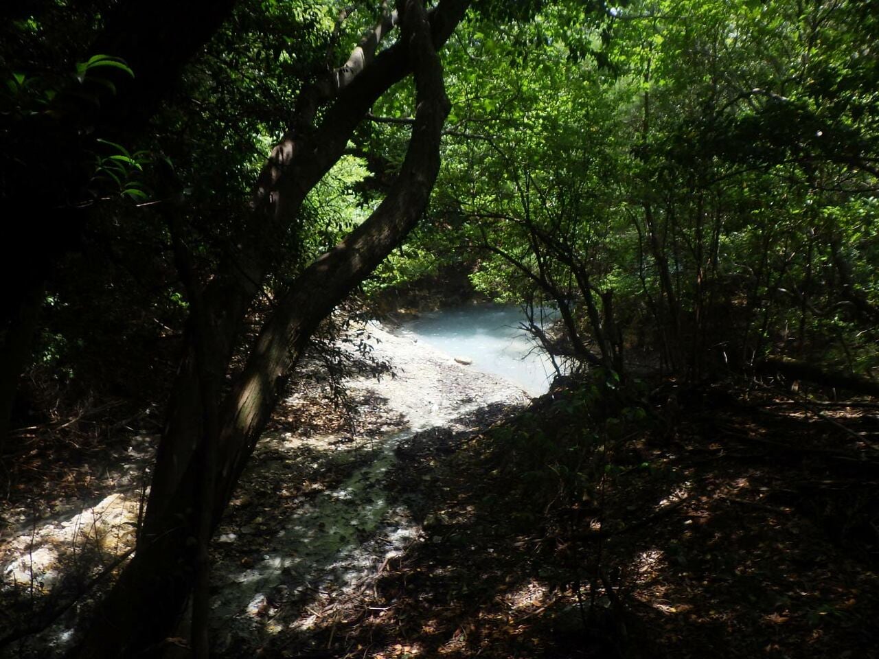 森の奥にやっと見つけた通し川の湯