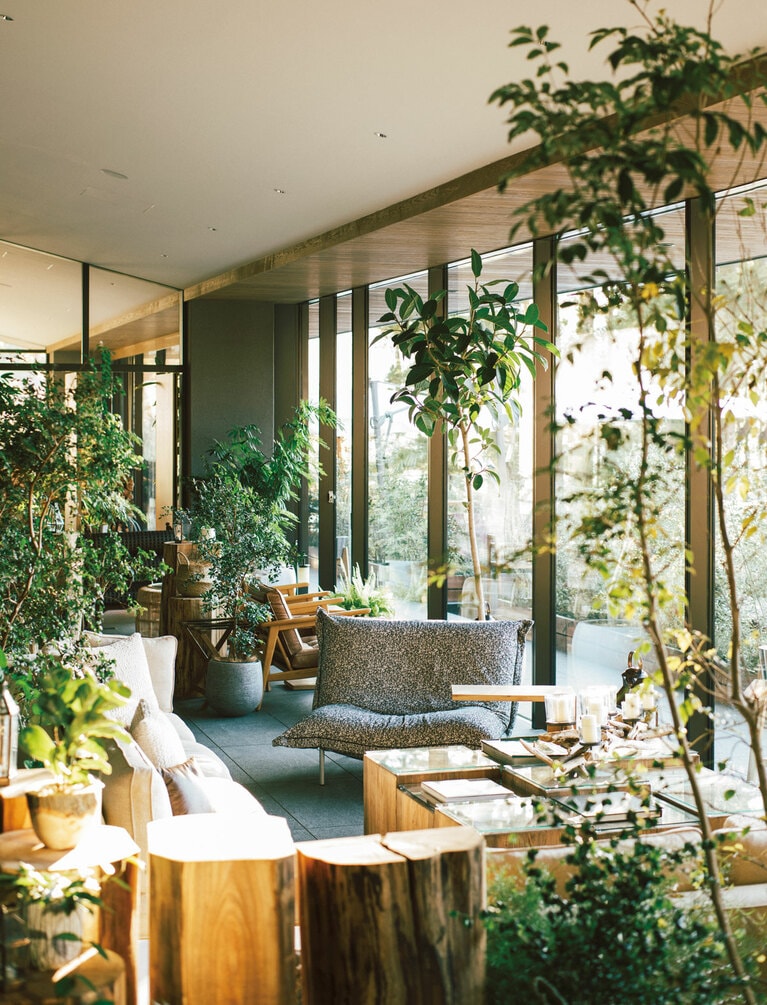 エントランスを抜けると、緑でいっぱいの空間が広がっている。ガラス一枚隔てた外のテラスにもグレイッシュな草花が生い茂る。
