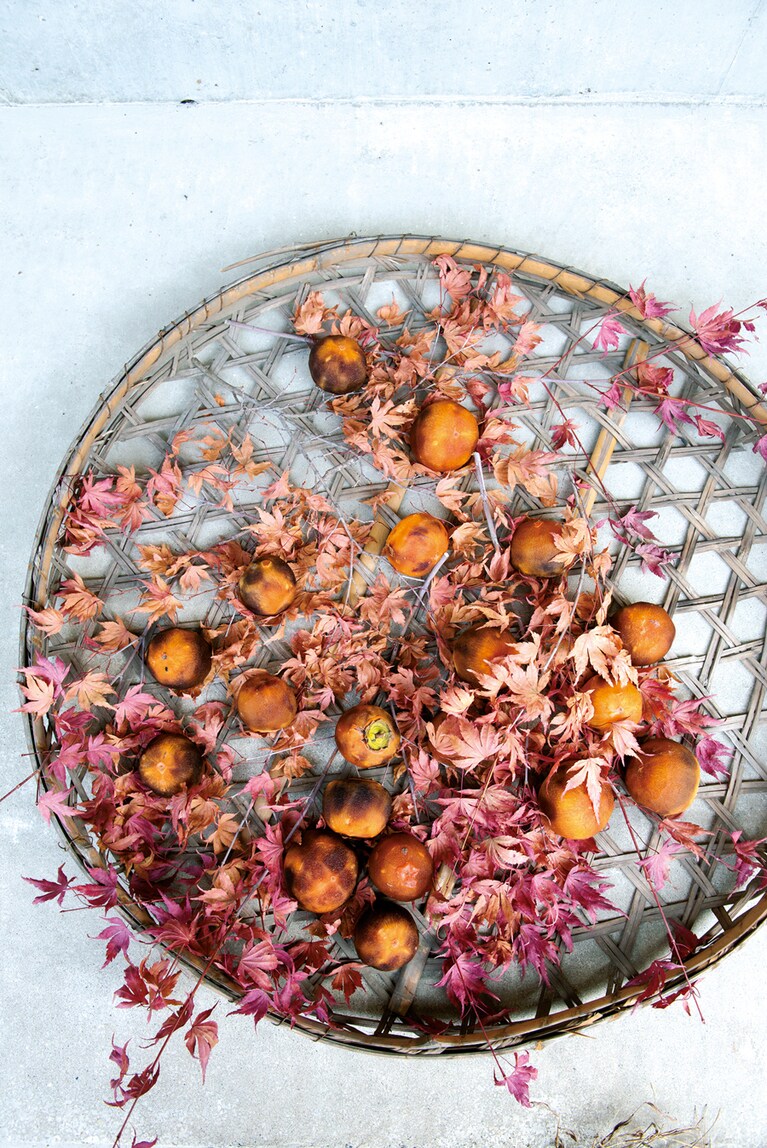 【ホテリ・アアルト】庭では季節の風情を感じられる。 photo: Akemi Kurosaka