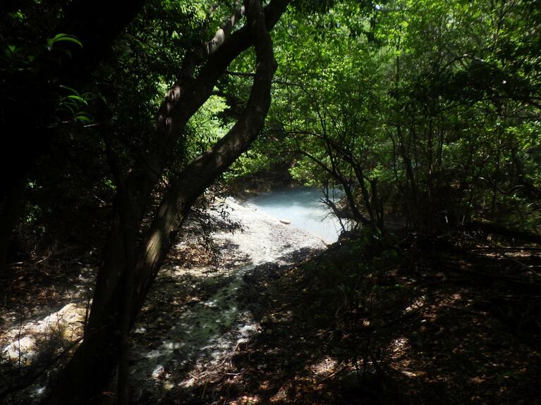 森の奥にやっと見つけた通し川の湯