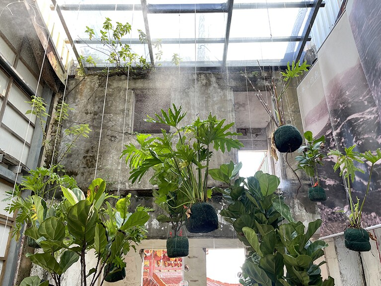 生命力あふれる植物と廃墟。共感地景創作の作品、「植物微星球計畫」。住所は南竿郷梅石8號。