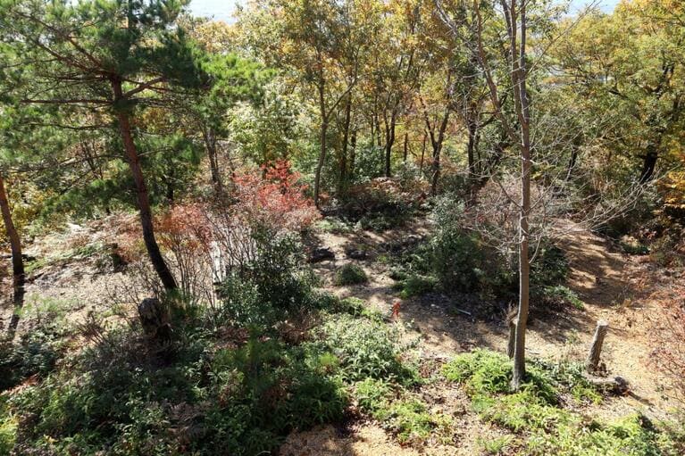 一段下がったところに帯曲輪