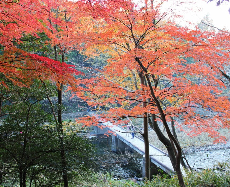 嵐山渓谷。