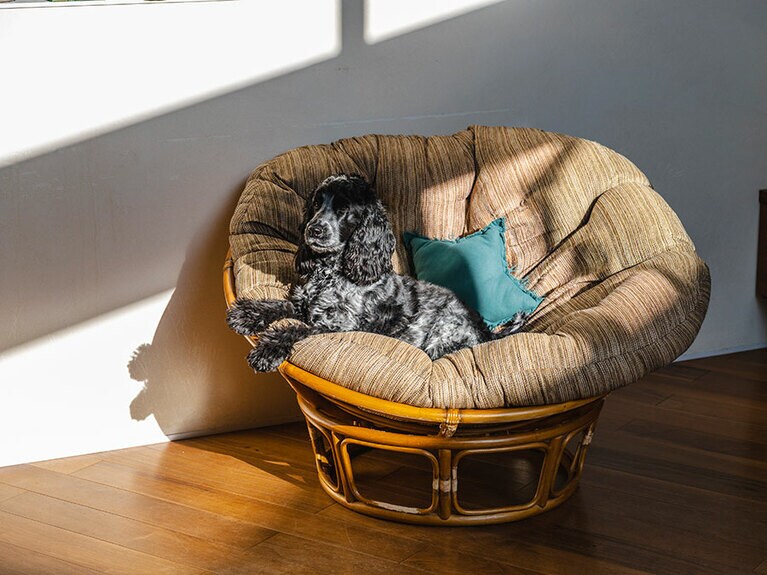 WICKER EASY CHAIR 79,200円／ACME Furniture