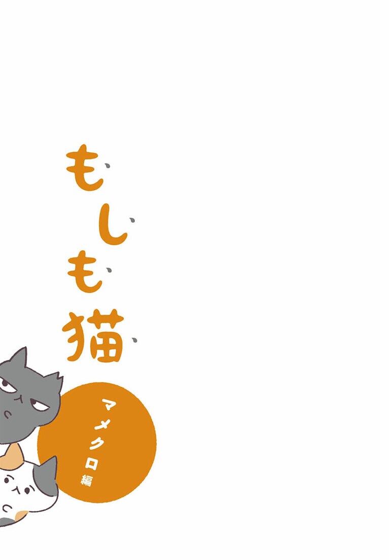 『もしもなんて来ないと思ってた猫』オキエイコ（実業之日本社）。