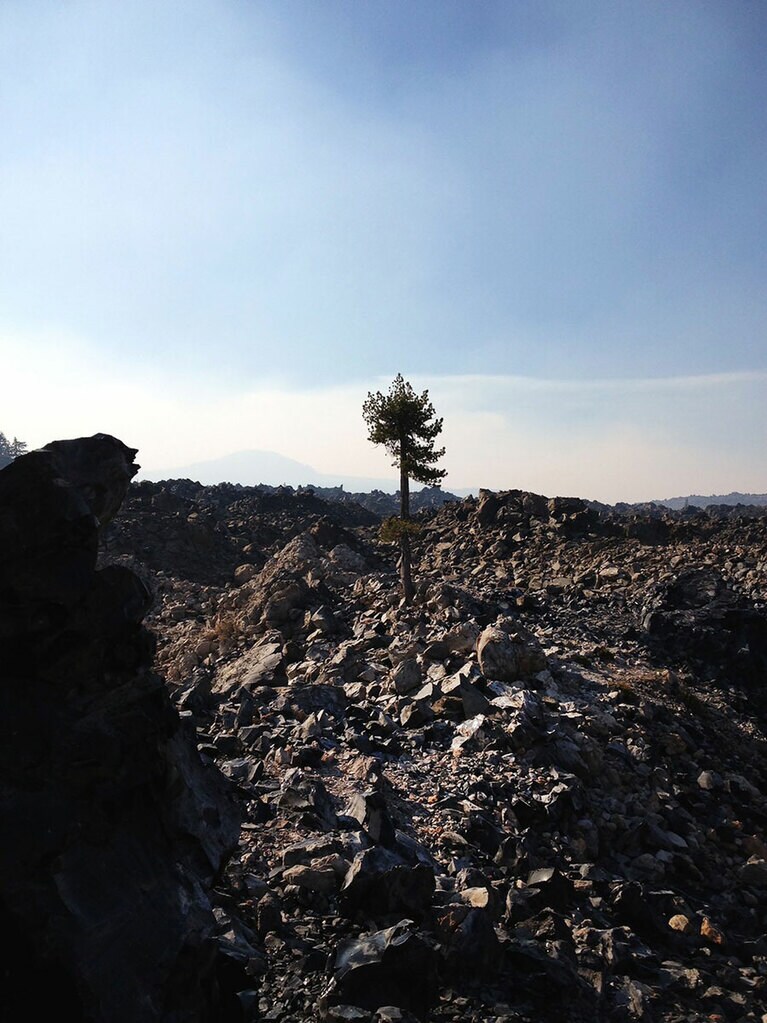 写真集「SHASTA」より ©Ellie Omiya