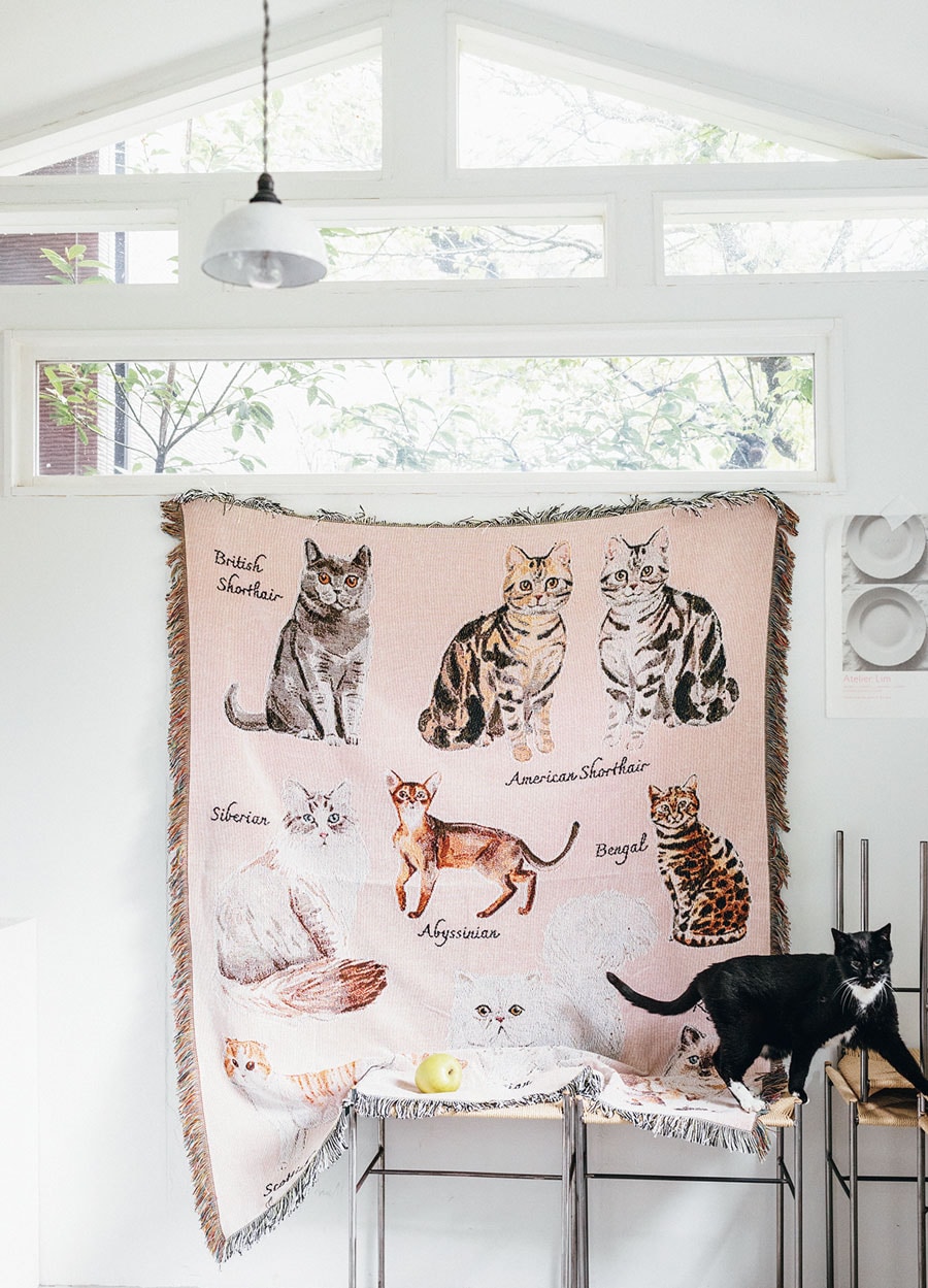 JOHN DERIAN デコパージュプレート CAT IN TWIG CHAIR JOHN DERIAN