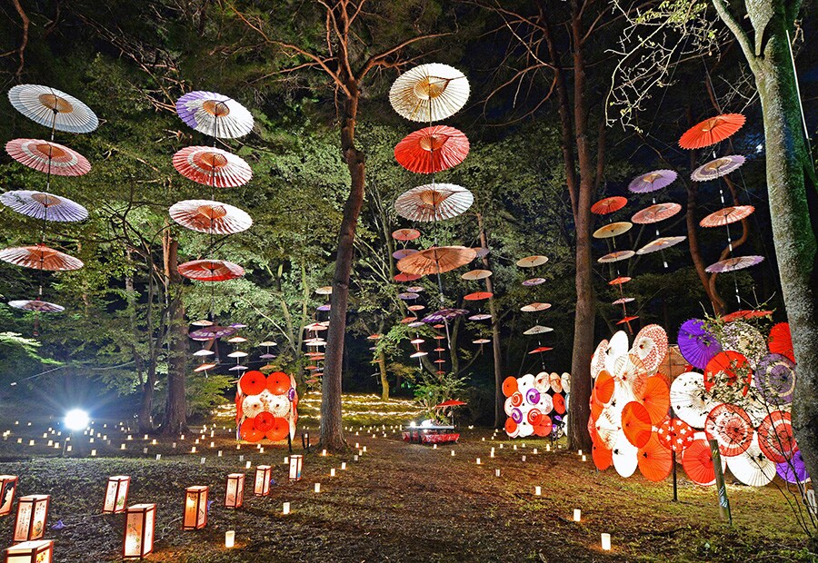 【2023年版】 今こそ行きたい、秋の絶景 ~関東編~ | 今こそ行きたい! 「日本にしかない風景」再発見 | 写真 | 11枚目