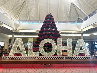 常夏のハワイのクリスマスをお届け！ ハワイのサンタクロースは上半身