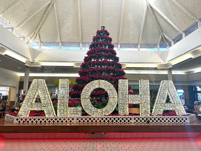 ハワイ クリスマス オーナメント サンタ サンタクロース Xmas ハワイ クリスマス オーナメント サンタ サンタクロース Xmas