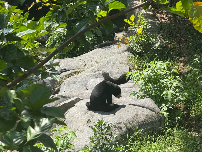 絶滅危惧種を含む36種類以上の動物が暮らしています。