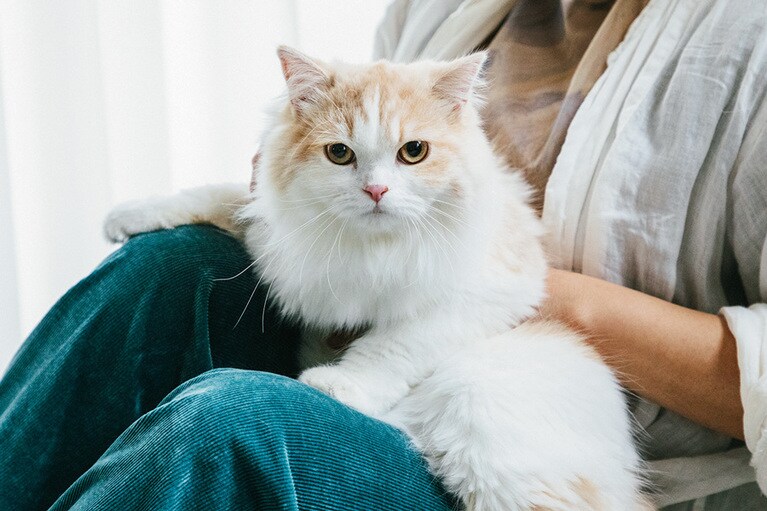 食事で環境を改善できる「リブクリア」があると、愛猫との距離がぐんと近くに。