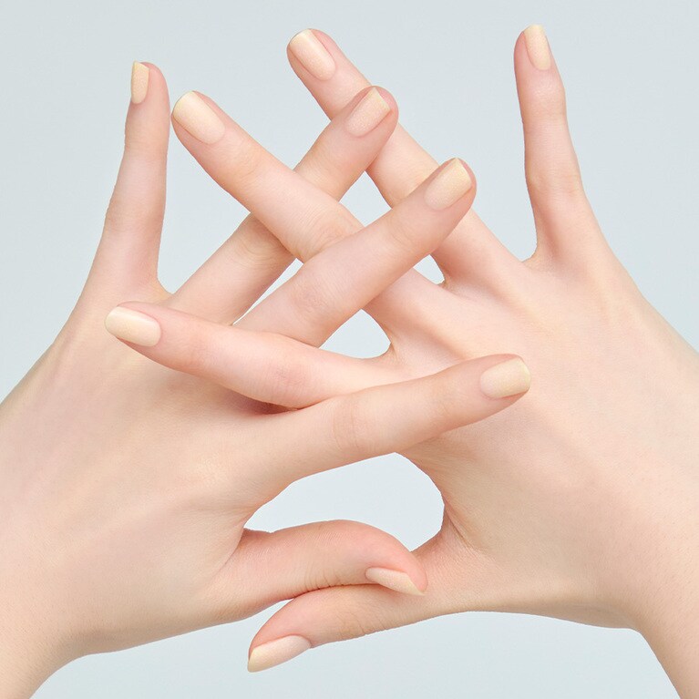 80 Egg shell（エッグシェル）使用イメージ。