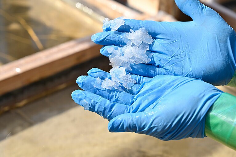 天日で結晶化したばかりの塩。