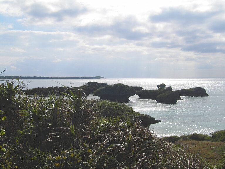 定期船はなくても秘祭を守り、観光とは一線を画すスタンスだから、あるがままの自然が残されているのでしょう。