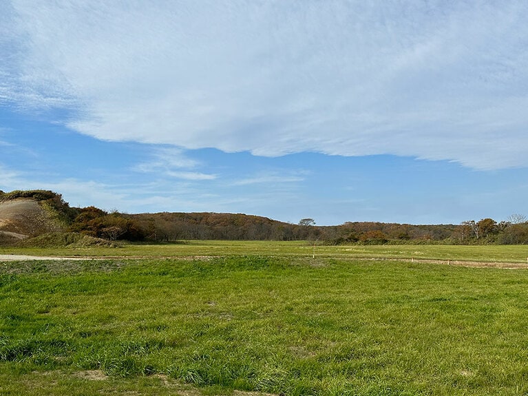 海の反対側には平原が広がり、風が抜ける。