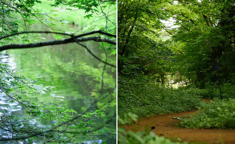 左：水鏡に映る夏景色。右：星のや軽井沢の前身・星野温泉ホテルへ続く道路が今は遊歩道に。