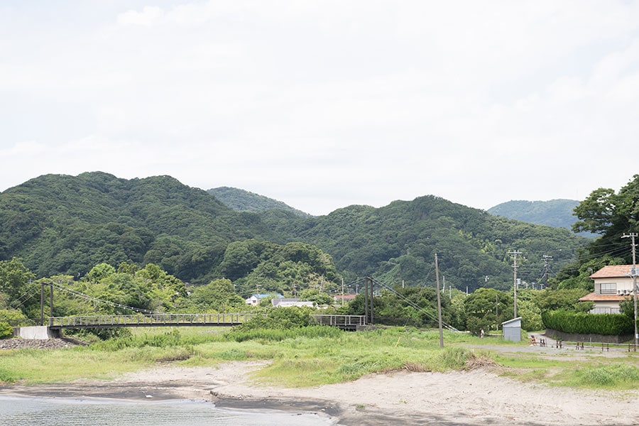 山と海を有する、自然豊かな下田市。