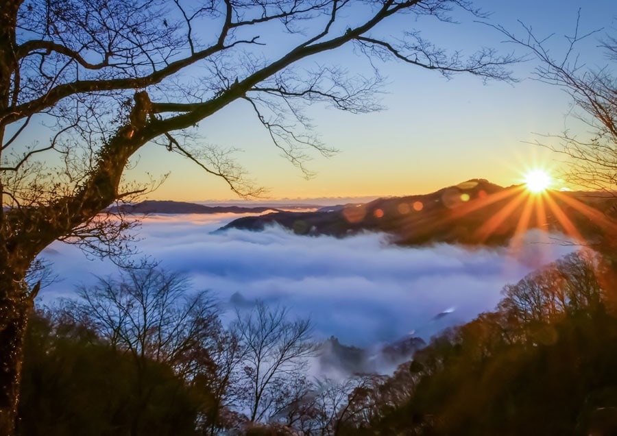 【栃木県】鎌倉山の雲海。