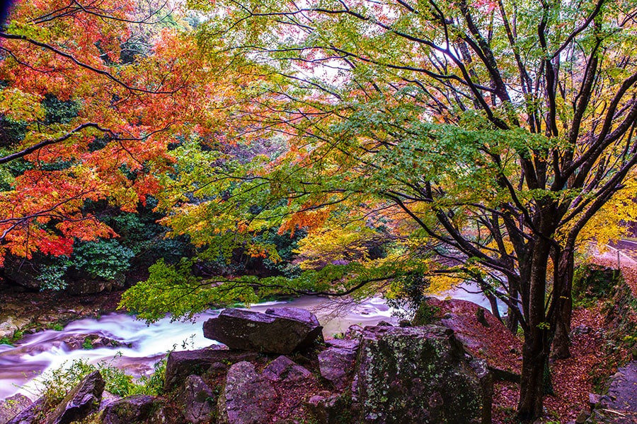 【岡山県】豪渓。