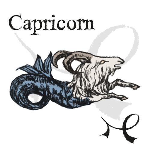 岡本翔子の星占い 【山羊座】3月の運勢「人生はチョコレートの箱みたい。食べるまで…」