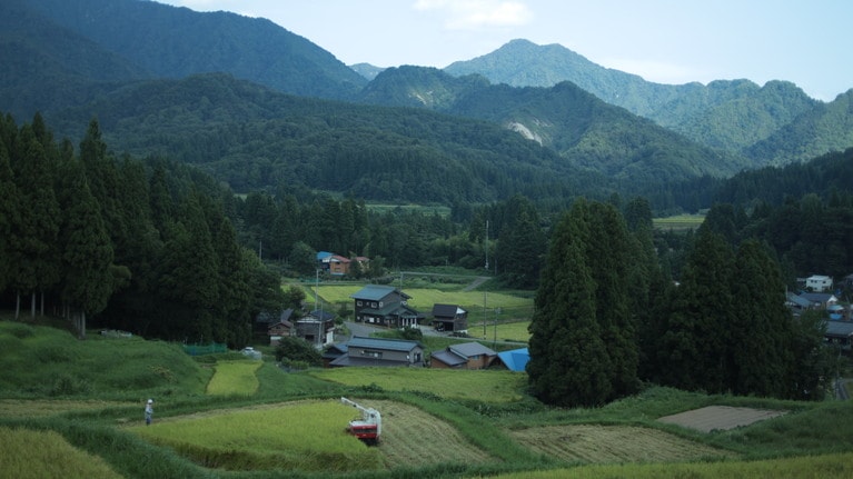 「私たちの新潟旅行」　大原えみ 「にいがた」 新潟のお米は本当においしい。愛情たっぷり。