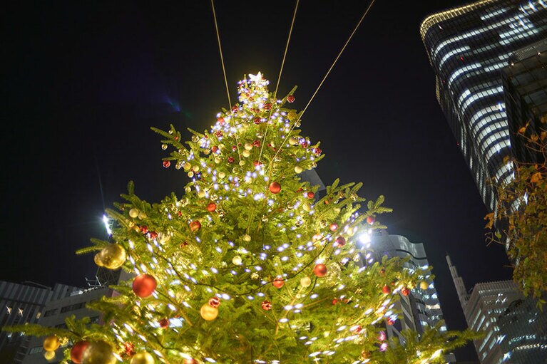 屋外のツリー。