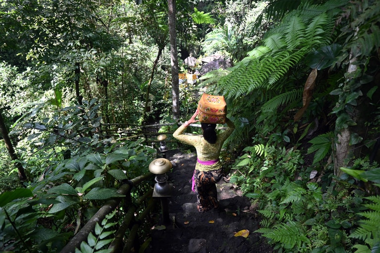 儀式のために、しっとりとした森の細道を下りて、川のほとりの寺院へ。