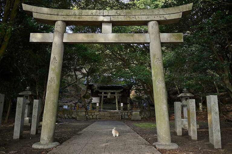【大久野島】境内に毒ガス犠牲者の慰霊碑も立つ大久野島神社(危険防止のため、社殿への立ち入りはできません)。