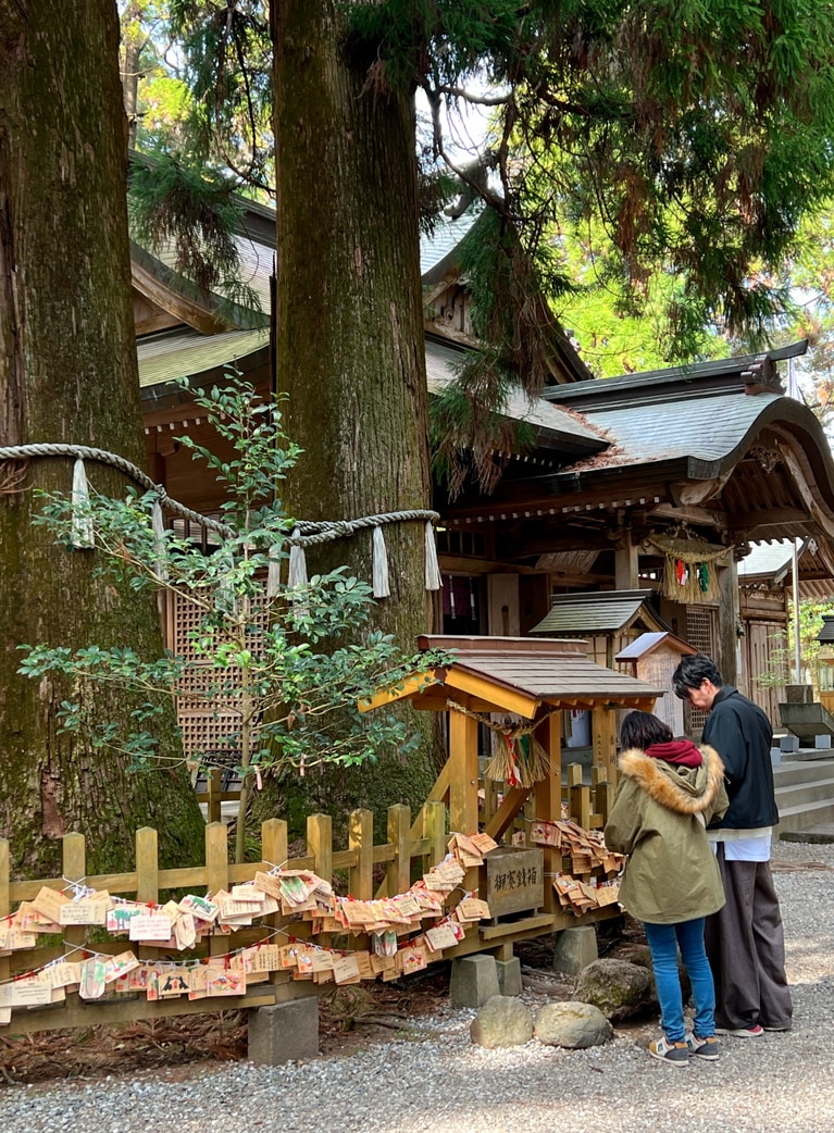 高千穂神社の境内には2本に分かれた杉の木が御神木として祀られている。この木の周りを、手をつないで3周回ると絆が深まるという。