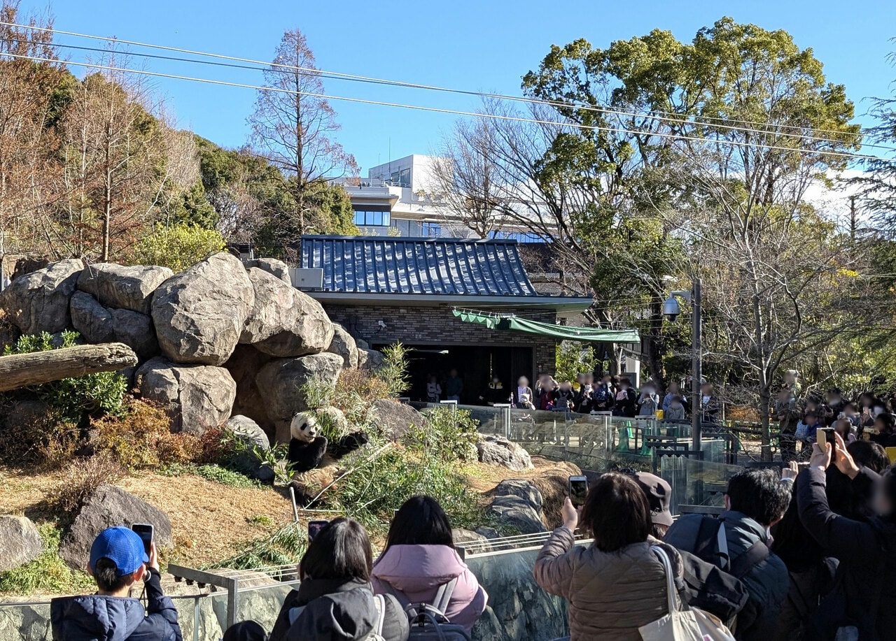 屋外のシャオシャオ。（2025年12月26日、筆者撮影）