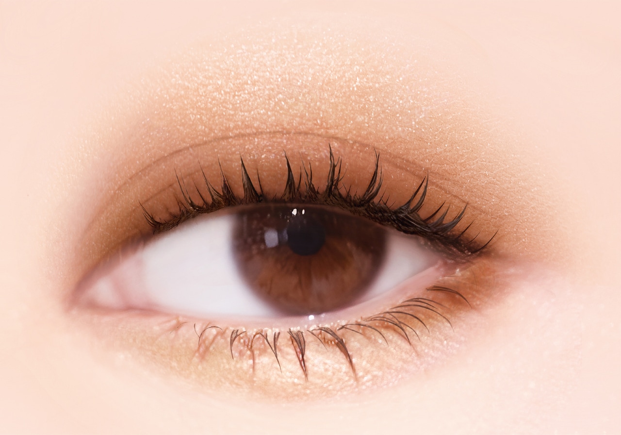 ＳＫ０４　ベージュブラウン 使用イメージ。