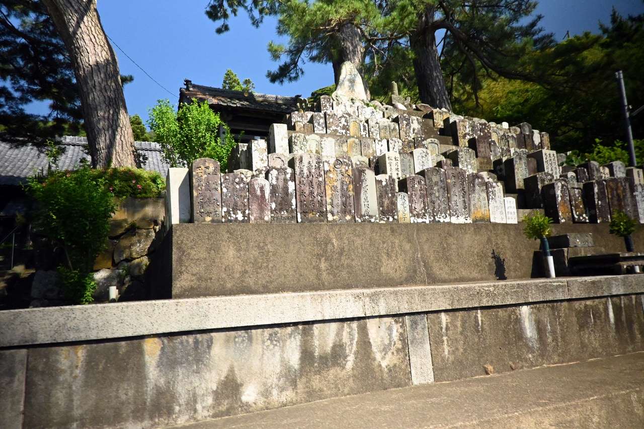 小さなお寺もふと立ち止まって手を合わせたくなる、田烏はそんな小さな村です。