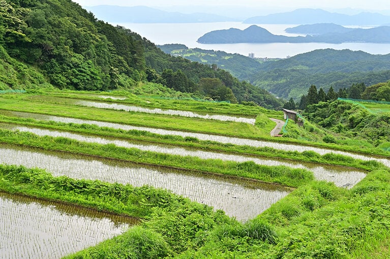 宮津の山間部に広がる上世屋の棚田。