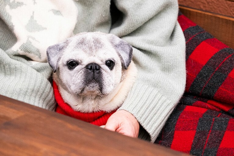 アザーカット。