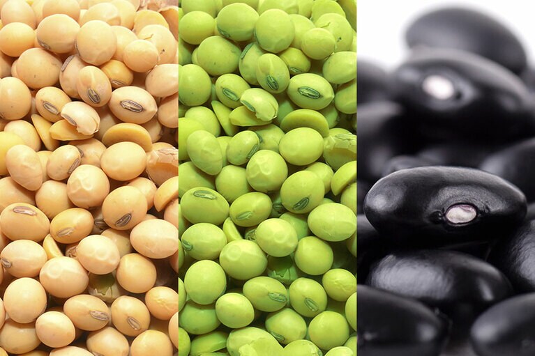 女性ならではの頭皮環境に着目して導入された3つのうるおい成分のひとつ、ソイセラムは、国産の黄大豆、青大豆、黒大豆を使用。