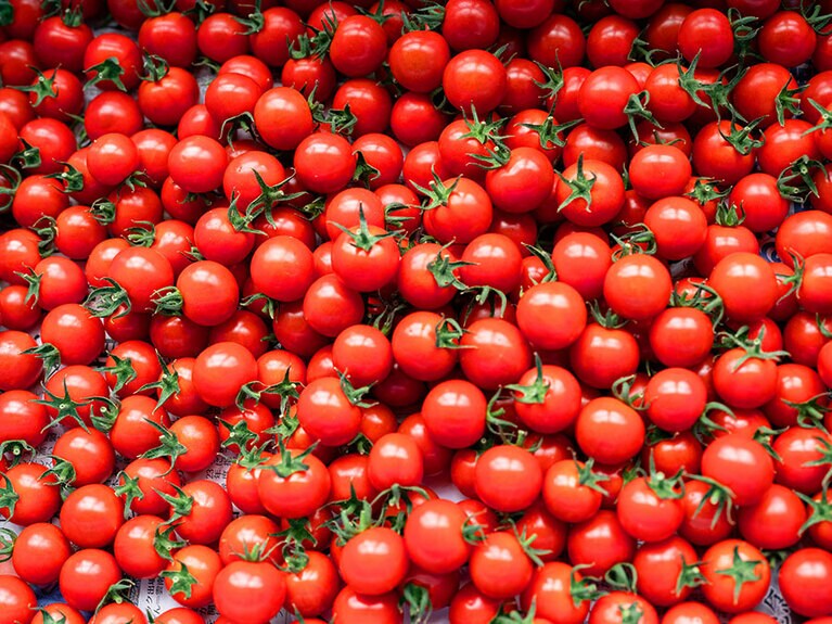 「全国ミニトマト選手権」で銅賞を受賞した逸品。