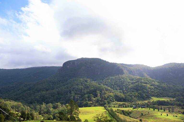 スプリングブルックのお隣、ラミントン国立公園の山々。こちらも世界遺産に登録されています。