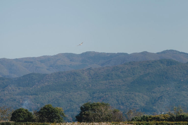佐渡・宿根木に残る原風景に魅せられて。俳優・工藤阿須加さんと江戸時代にタイムスリップ【通いたくなる島、佐渡】